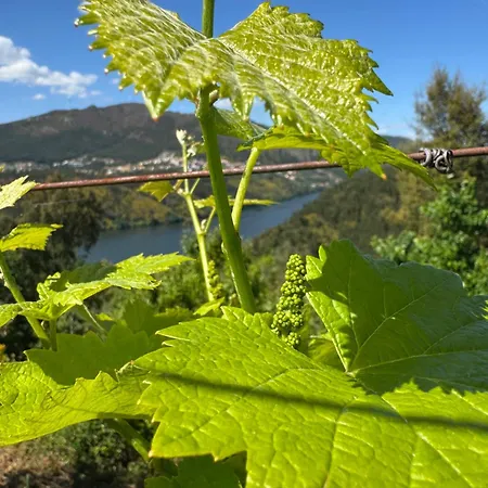 Vendégház Douro House 222 Castelo de Paiva