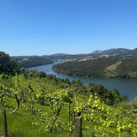 Douro House 222 カステロ・デ・パイヴァ