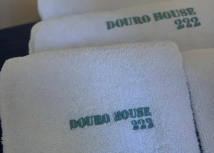 Douro House 222 3* Castelo de Paiva