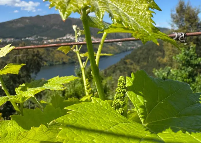 Penzion Douro House 222 Castelo de Paiva