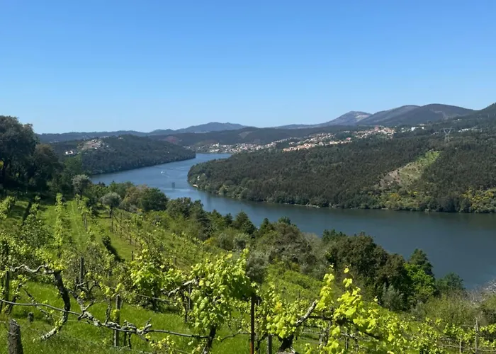 Douro House 222 Castelo de Paiva